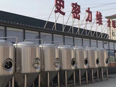 昌黎精酿啤酒设备厂—如何判断精酿啤酒设备的密封件需要更换？